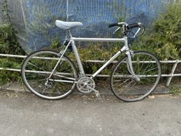 Klassisches Rennvelo – Rahmenhöhe 57 cm – ideal für Stadt & 